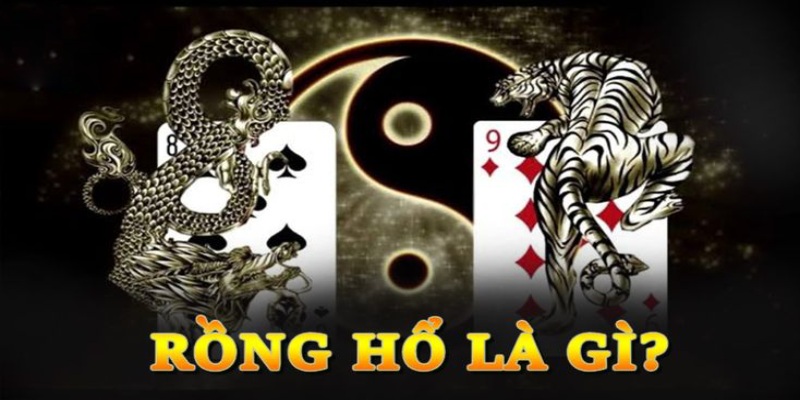 Giới thiệu Rồng Hổ là gì?