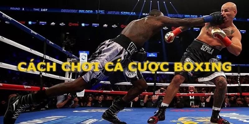 Hướng dẫn chi tiết cách cá cược boxing