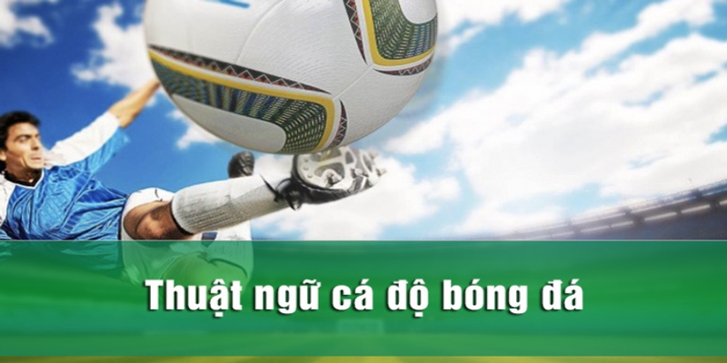 Các thuật ngữ cá độ thường gặp trong kèo châu Á