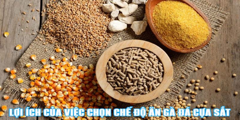 Lợi ích của việc chọn chế độ ăn cho gà đá phù hợp