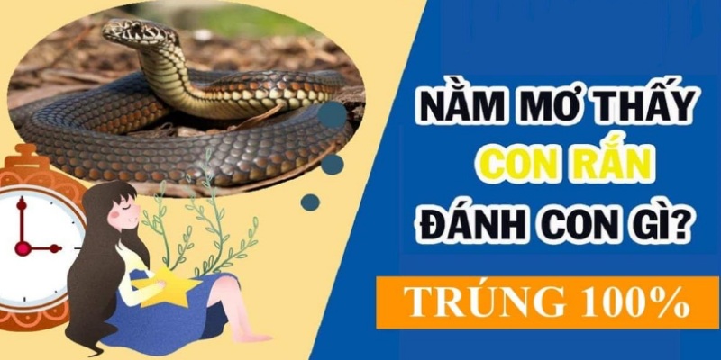 Nằm mơ thấy rắn đánh số gì về bờ?